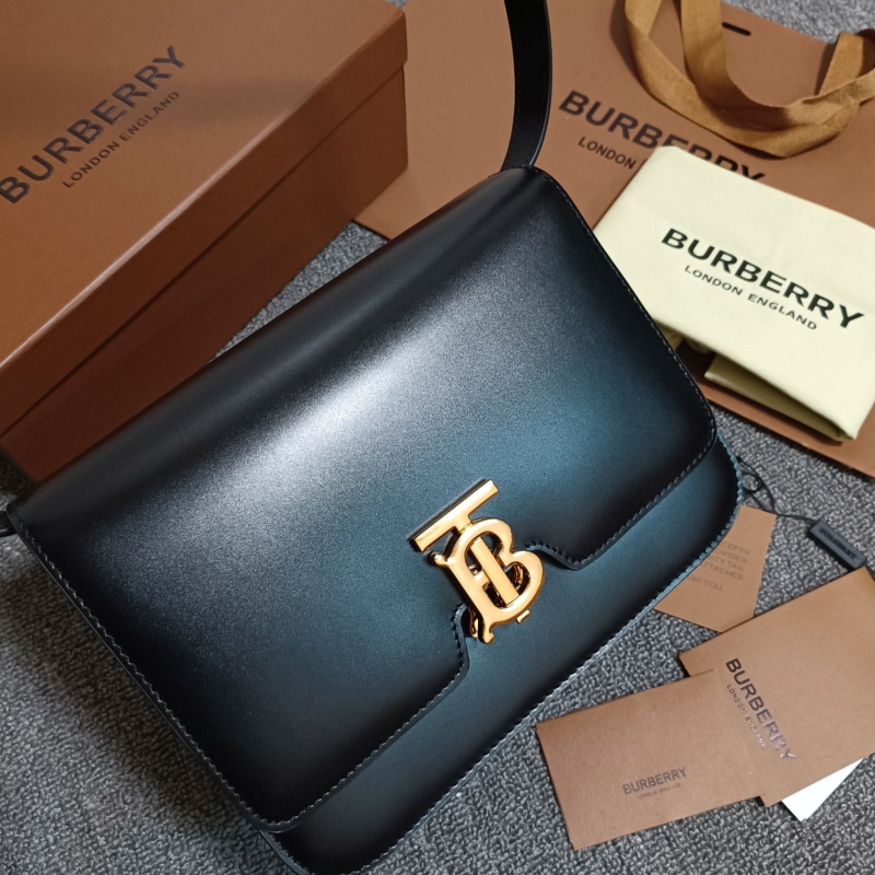 B**rry satchel bags